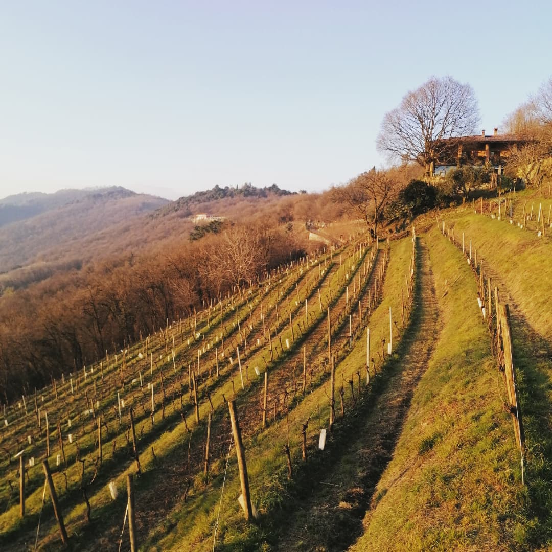 Immagine prodotto 6